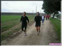 Bassette08_113