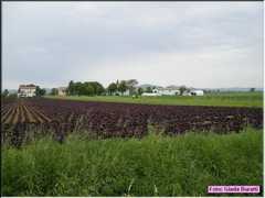 DSCN0208