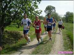 DSCN0383