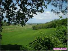 Santalucia_018