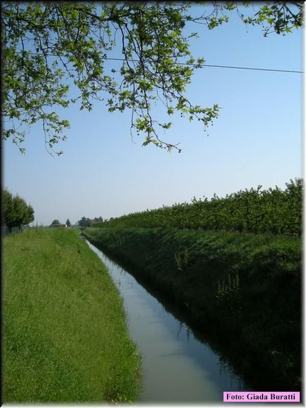 DSCN9658