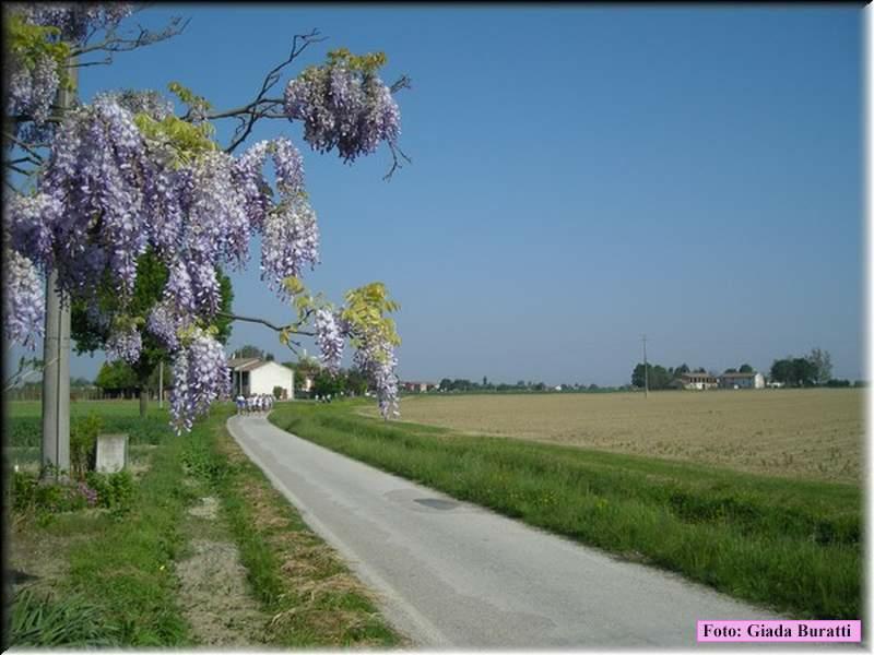 DSCN9662