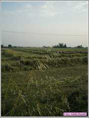 img035