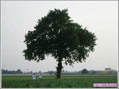 img039