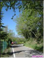DSCN8950