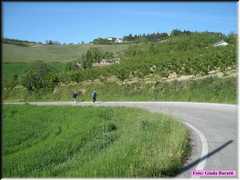 DSCN8956