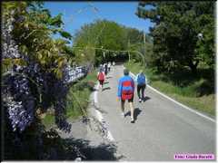 DSCN8960
