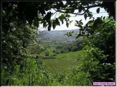 DSCN8961