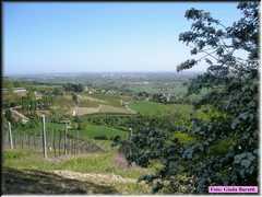 DSCN8969