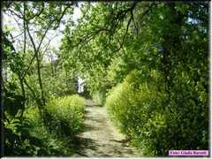 DSCN8972