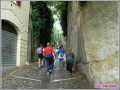 Verona_036
