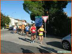 IMG_5949