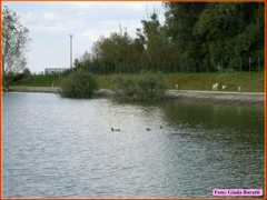 Mandriole08_07