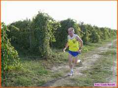 Mandriole08_26