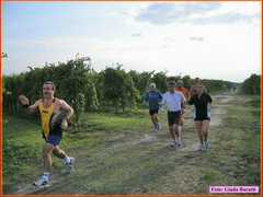 Mandriole08_49