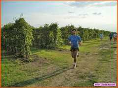 Mandriole08_57