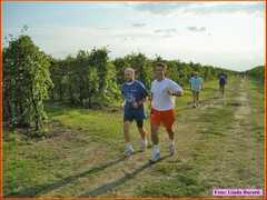 Mandriole08_58
