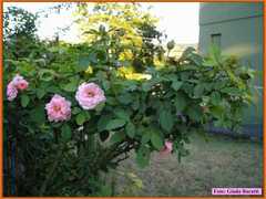 Sanvittore08_07