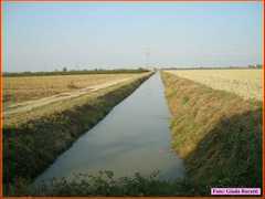 Savarna_018