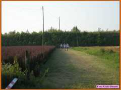 Savio08_004