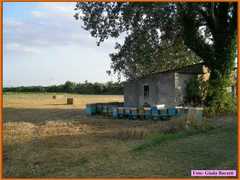 Savio08_012