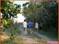 Savio08_027