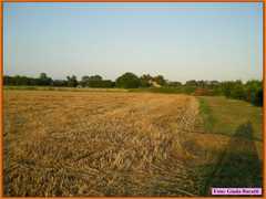 Savio08_038