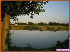 Savio08_042