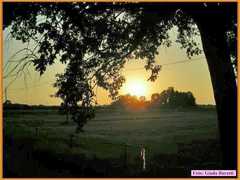 Savio08_052