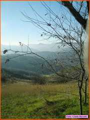 Russi08_012