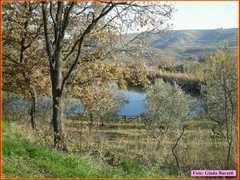 Russi08_019