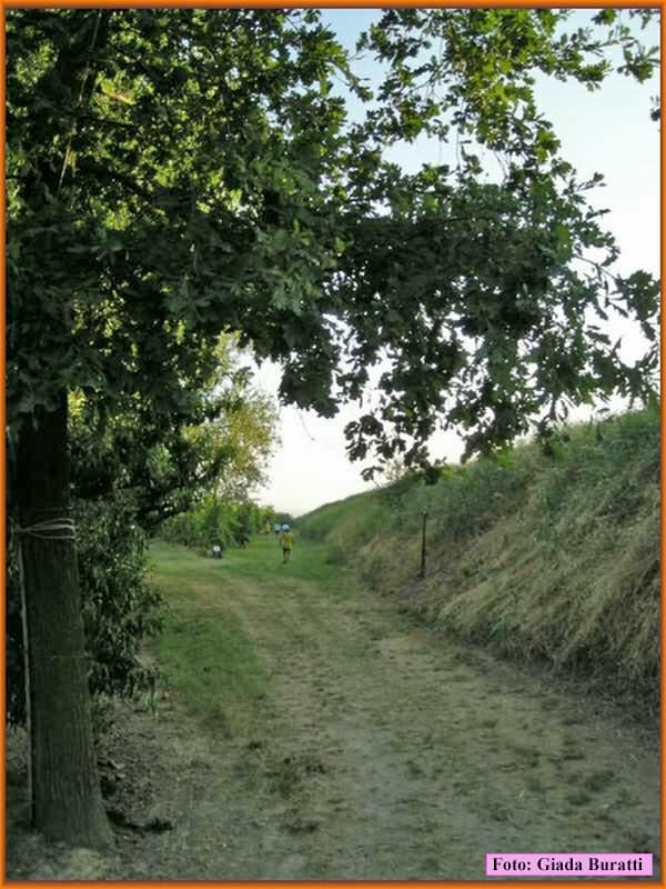 Vsmartino08_25