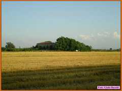 Vsmartino08_24