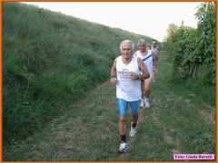 Vsmartino08_31
