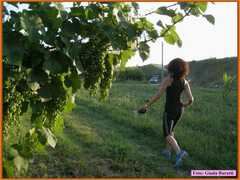 Vsmartino08_41