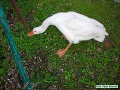 DSCN3194