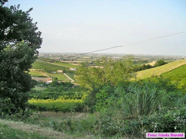 Cesena09_037
