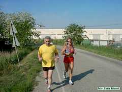 KIF_0261