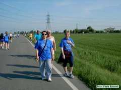 KIF_0274