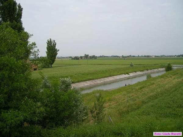 img_017