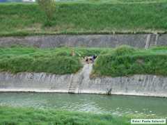 KIF_0375