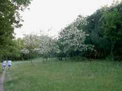 KIF_0322