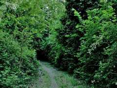 KIF_0324