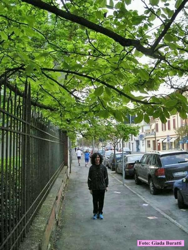 Lugo09_015