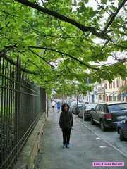 Lugo09_015