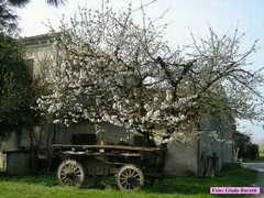 Russi09_320