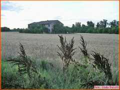 Russi09_041