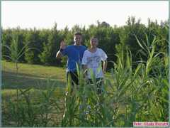 img001