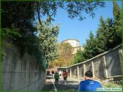 IMG_9191