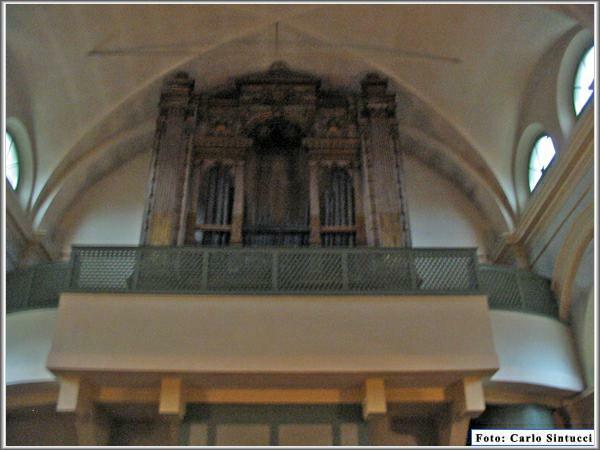 IMG_8565